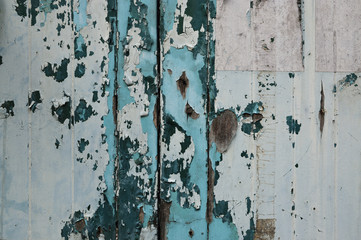 Peeling paint white and green color on old wood wall