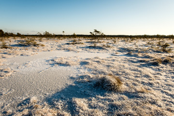 tourist hiking trail in woods in winter