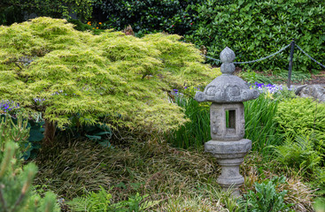 Japanese Sculpture and Maple