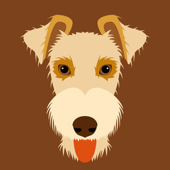 fox terrier dog head face color Flat