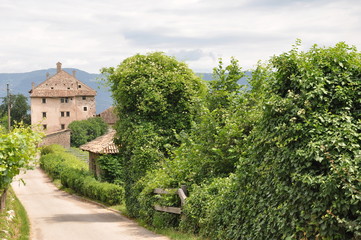 Südtiroler Weinstraße, Tramin