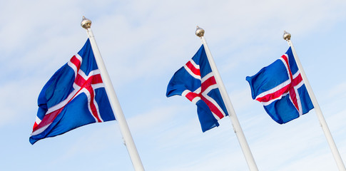Obraz premium Iceland flag - flag of Iceland