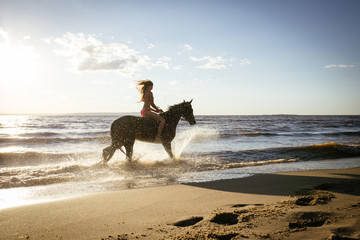 Horseback horse riding on coastline at the beach on sunset background