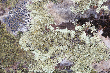 Old Stone Background