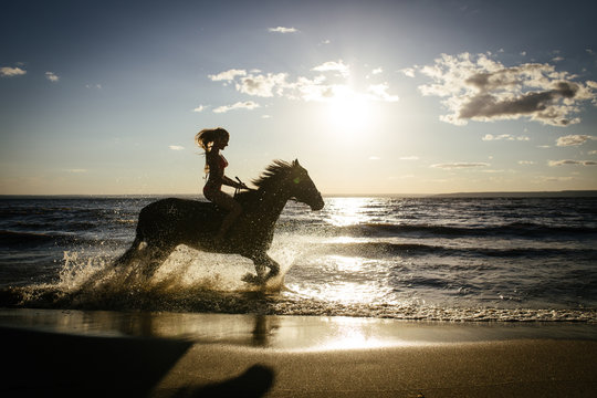 Horseback horse riding on coastline at the beach on sunset background