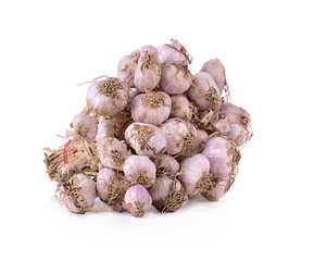 garlic in white background