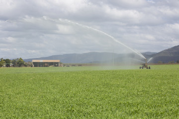 Portable spray irrigator in operation with farm shed in the background, Atherton Tableland, North...