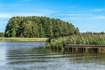 Forest lake landscape with wooden pier  and clear blue sky