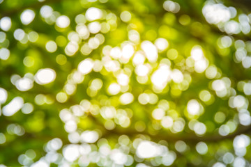 Obraz premium Bokeh light out of focus background