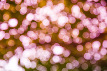 Obraz premium Bokeh light out of focus background