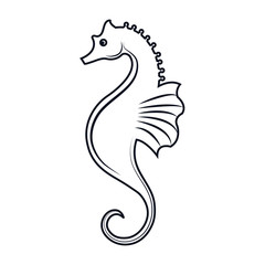 Fototapeta premium seahorse aquatic animal. ocean symbol. silhouette vector illustration