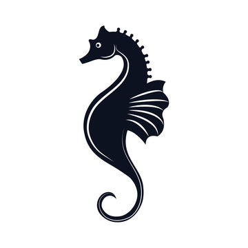 seahorse aquatic animal. ocean symbol. silhouette vector illustration