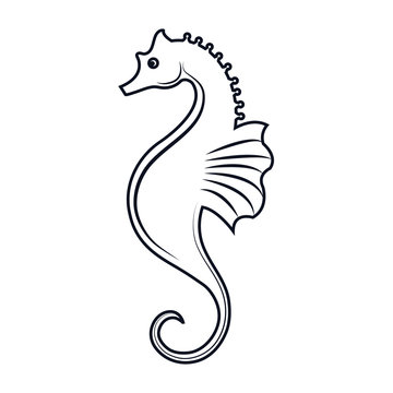 seahorse aquatic animal. ocean symbol. silhouette vector illustration