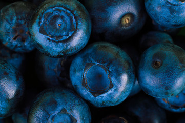 Blueberries berries background