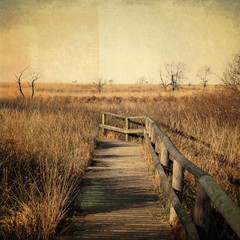 vintage wooden path