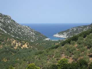 Fototapeta na wymiar Wooded valley overlooking the sea at Skopelos island in Greece
