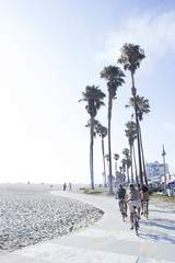 Fototapeta premium ベニスビーチ ロサンゼルス