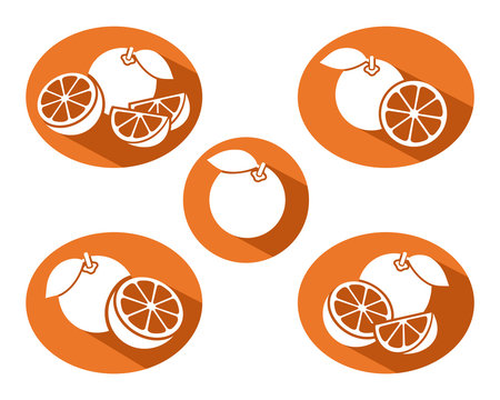 Oranges set. Vector