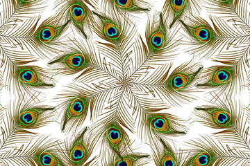 Obraz premium Beautiful peacock feathers as background 