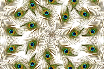 Photo sur Plexiglas Paon Belles plumes de paon comme toile de fond