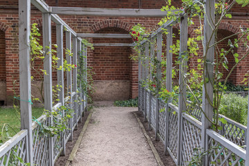Pergola of wood covered with green leaves against red brick wall