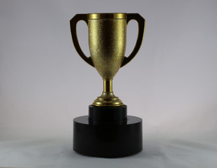 Golden Cup isolated on white background. Intentional dark tone. Concept: the winner is...