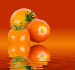 Macro image of three home grown tomatoes