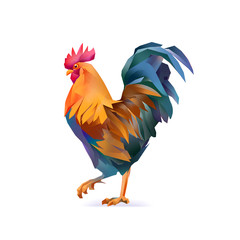 rooster isolated