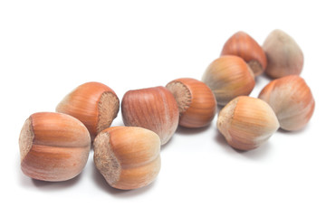 Pile of hazelnuts isolated on white