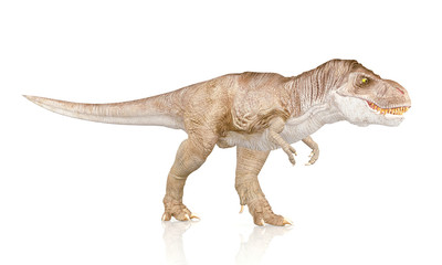 Tyrannosaurus Rex, Dinosaur isolated on white background