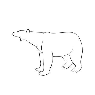 polar bear standing vector illustration line style