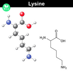 Lysine proteinogenic essential amino acid