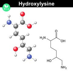 Hydroxylysine proteinogenic essential amino acid