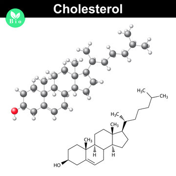Cholesterol molecule and 3d model