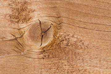 Board wood texture