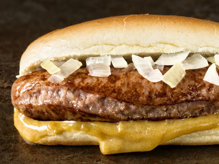 rustic american hot dog with mustard and onion