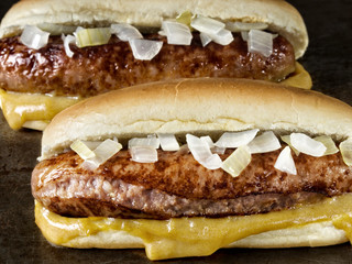 rustic american hot dog with mustard and onion