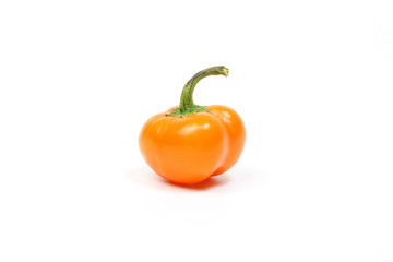 Small bell pepper chili capsicum paprika
