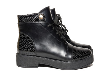 female shoes on a white background