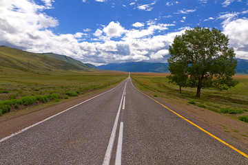 Landscape road steppe mountains