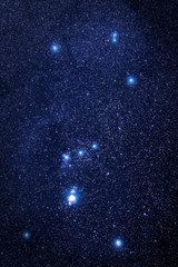 Orion stars universe