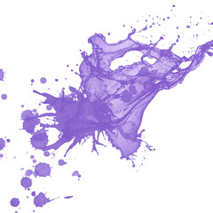 splash on white background. Paint splash for design use. splash paint isolated. 