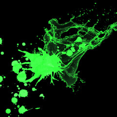 Neon Green Paint Splash on Black Background Abstract Ink and Liquid Splatter