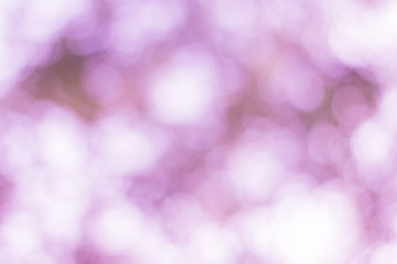 blurred Natural green bright blur background