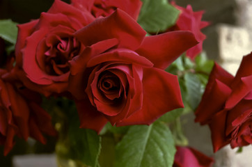 Bright background from bouquet large red roses with leaves at green glass vase