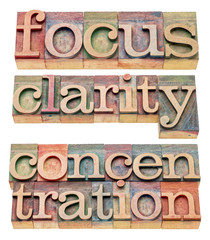 focus, clarity and concentration words