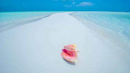 Foto op Plexiglas schönster Strand auf der Welt - Bahamas, Exuma Island © emotionpicture