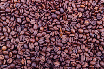 roasted coffee beans