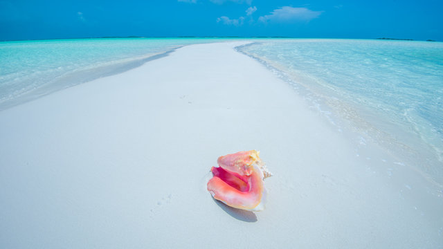 sch&ouml;nster Strand auf der Welt - Bahamas, Exuma Island