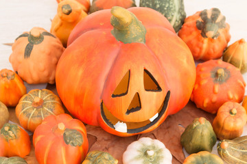 Orange Halloween pumpkin and many small pumpkins